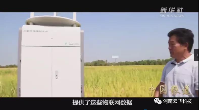 新華社《中國糧道》報(bào)道|云飛植保信息化系統(tǒng)在安徽科學(xué)院示范基地的應(yīng)用